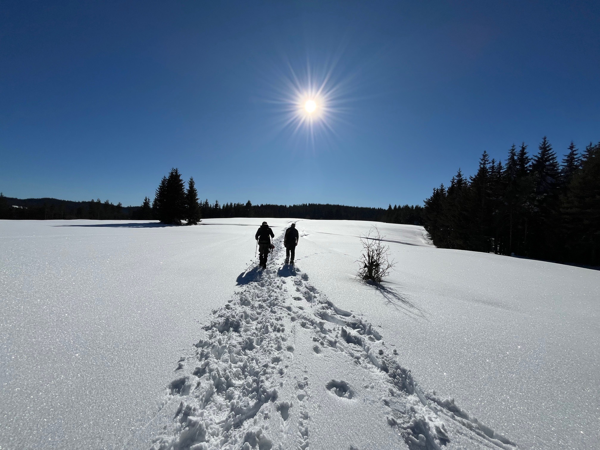 “A Walk in the Park” or the Orcevo Adventure - 1