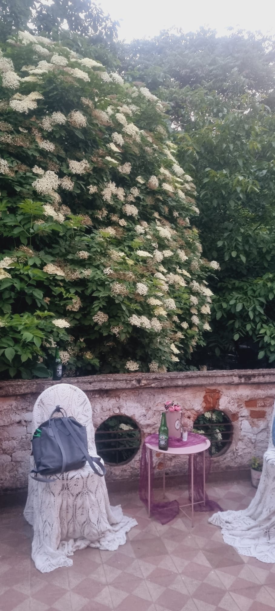 Различните измерения на 🥥 - 2