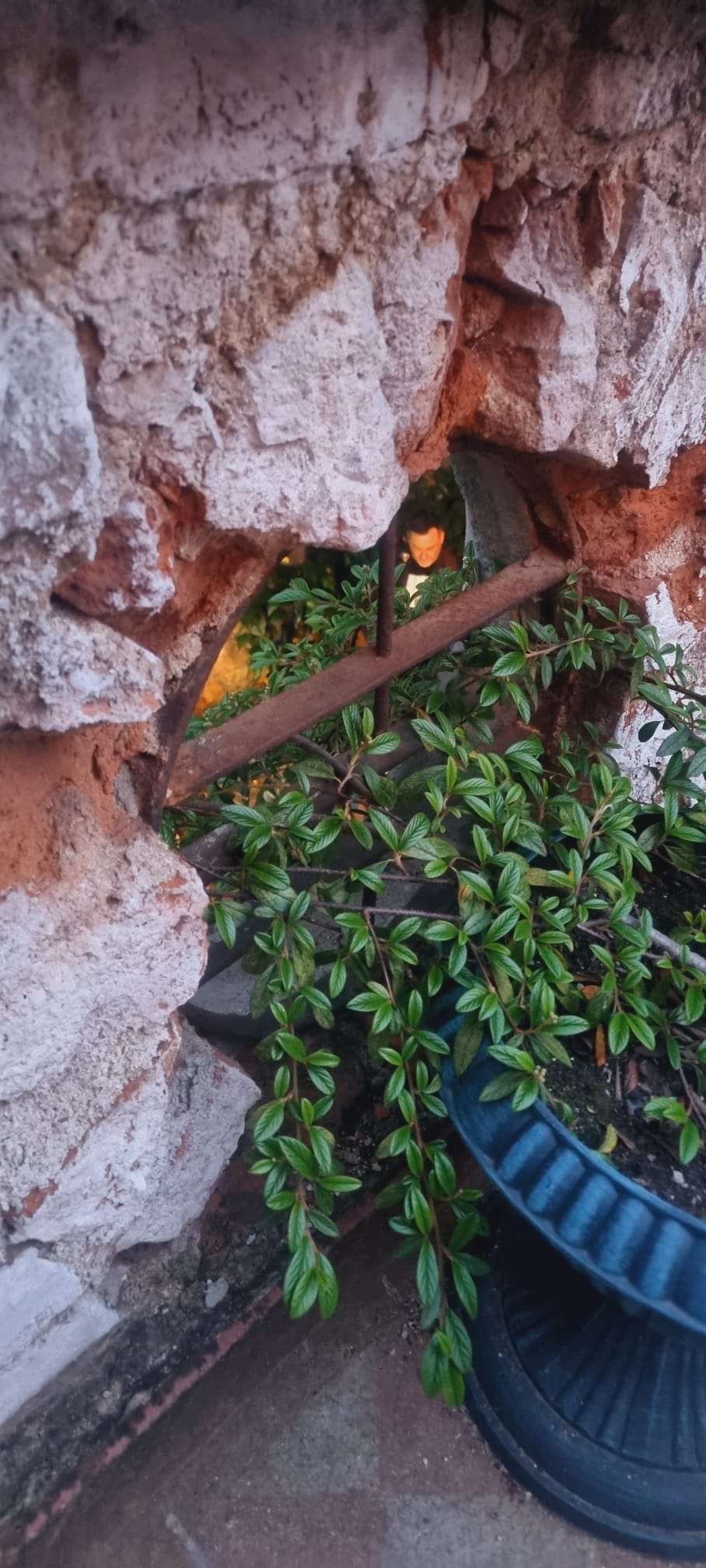 Различните измерения на 🥥 - 4