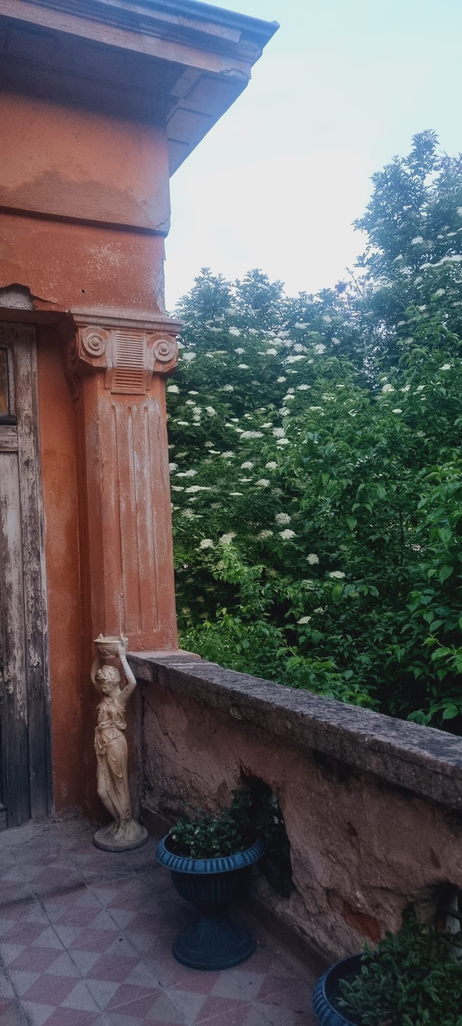 Различните измерения на 🥥 - 3