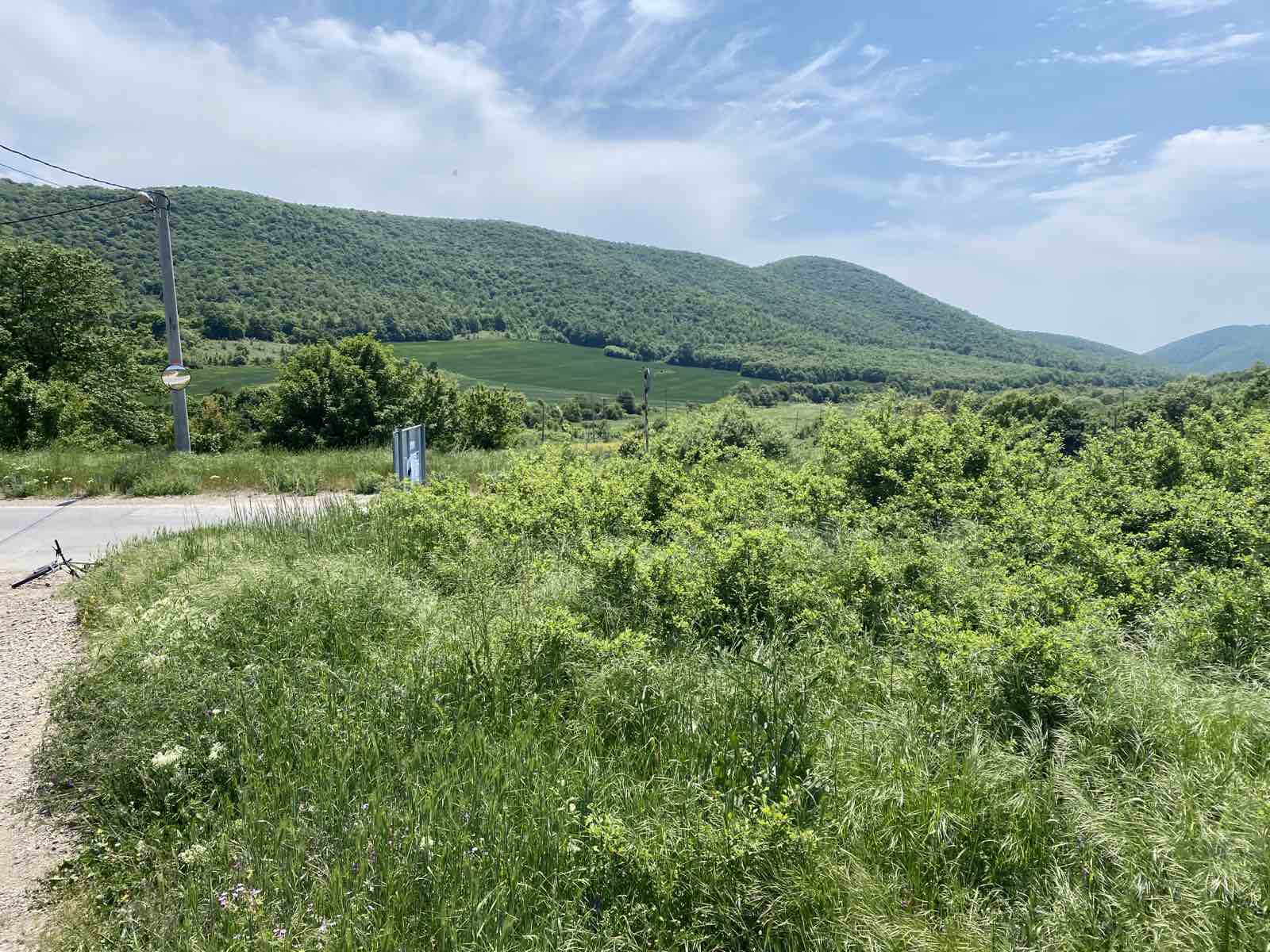 to vape or not to….?